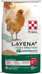Purina Layena+ 19% Protein Layer Pellets Chicken Feed, 40-lb bag
