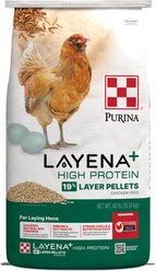 Purina Animal Nutrition Purina Layena+ 19% Protein Layer Pellets Chicken Feed, 40-lb bag