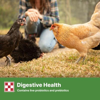 Show full view: Purina Flock Raiser 20% Protein Crumbles Poultry Feed, 5-lb bag slide 6 of 10