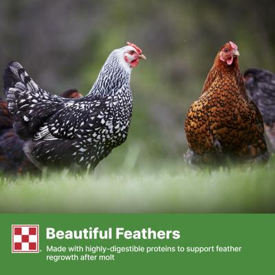 Show full view: Purina Flock Raiser 20% Protein Crumbles Poultry Feed, 5-lb bag slide 8 of 10