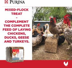 Purina Flock Block Poultry Supplement, 25-lb block slide 2 of 3