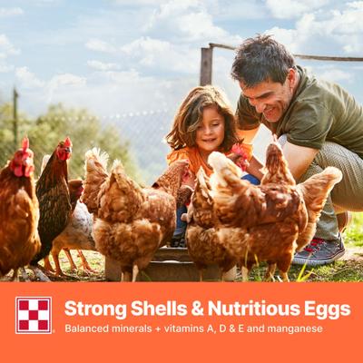 Show full view: Purina Farm to Flock 18% Protein Pellets Hen Food, 50-lb bag slide 5 of 6