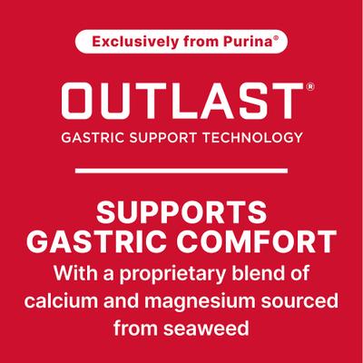 Show full view: Purina Ultium Competition Horse Feed, 50-lb bag slide 6 of 10