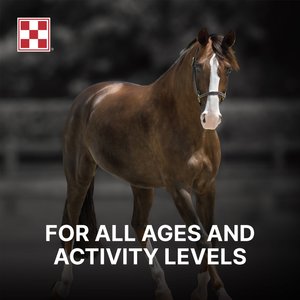 Purina RepleniMash Product Horse Electrolyte Supplement, 7-lb bag