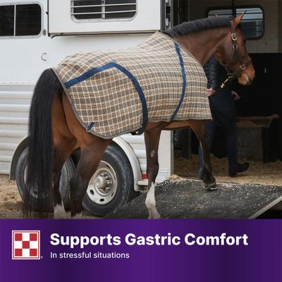 Show full view: Purina Outlast Gastric Support Pellets Horse Digestive Aid, 40-lb bag slide 6 of 10