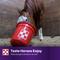 Show in main carousel: Purina Outlast Gastric Support Pellets Horse Digestive Aid, 40-lb bag slide 7 of 10