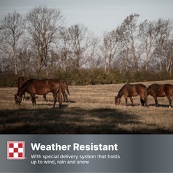 Purina Free Balance 12:12 Vitamin & Mineral Horse Supplement, 25-lb bag slide 2 of 9