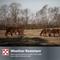 Show in main carousel: Purina Free Balance 12:12 Vitamin & Mineral Horse Supplement, 25-lb bag slide 8 of 10