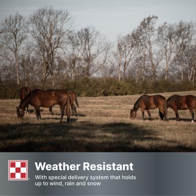 Show full view: Purina Free Balance 12:12 Vitamin & Mineral Horse Supplement, 25-lb bag slide 8 of 10