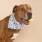 Show in main carousel: The Paws Christmas Hanukkah Dog Bandana, Blue, Large slide 2 of 6