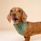 Show in main carousel: The Paws Christmas Sugar Dog Bandana, Green, Small slide 4 of 6