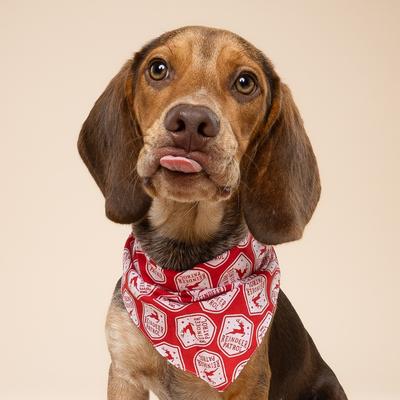Show full view: The Paws Christmas Reindeer Patrol Dog Bandana, Red, Large slide 3 of 6