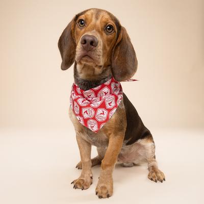 Show full view: The Paws Christmas Reindeer Patrol Dog Bandana, Red, Large slide 2 of 6