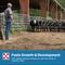 Show in main carousel: Purina Precon Complete RX3 Pellets Cattle Feed, 50-lb bag slide 8 of 10