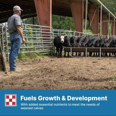 Show full view: Purina Precon Complete RX3 Pellets Cattle Feed, 50-lb bag slide 8 of 10