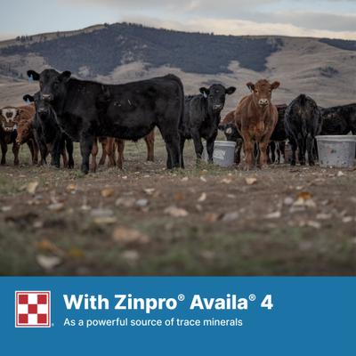 Show full view: Purina Precon Complete RX3 Pellets Cattle Feed, 50-lb bag slide 9 of 10