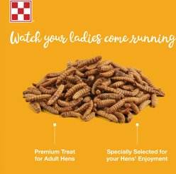 Purina Farm to Flock Larvae for Ladies Protein Poultry Treats, 3-lb bag slide 2 of 6