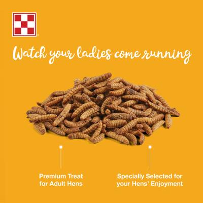 Show full view: Purina Farm to Flock Larvae for Ladies Protein Poultry Treats, 3-lb bag slide 4 of 7