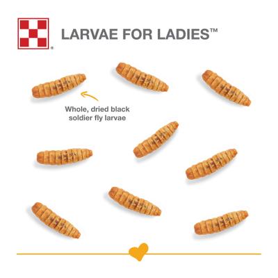 Show full view: Purina Farm to Flock Larvae for Ladies Protein Poultry Treats, 3-lb bag slide 5 of 7