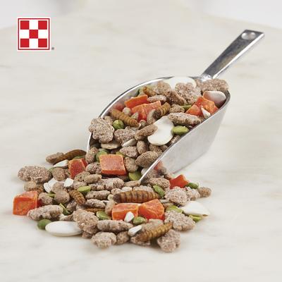 Show full view: Purina Farm to Flock Protein Blend Poultry Treats, 7.5-lb bag slide 3 of 7