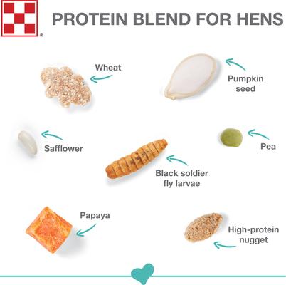 Show full view: Purina Farm to Flock Protein Blend Poultry Treats, 7.5-lb bag slide 4 of 7