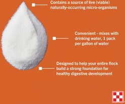 Purina Probiotic Digestive Poultry Supplement, 0.17oz packet, 3 count slide 2 of 3