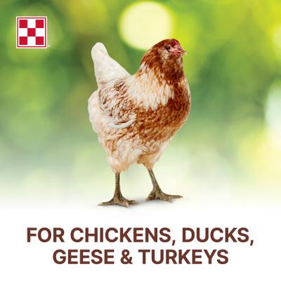 Show full view: Purina Scratch Grains Poultry Feed, 50-lb bag slide 4 of 9