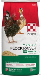 Purina Flock Raiser 20% Protein Pellets Poultry Feed, 50-lb bag