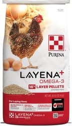 Purina Layena+ Omega-3 16% Protein Pellets Chicken Feed, 40-lb bag