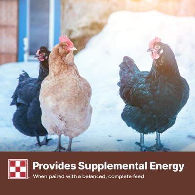 Show full view: Purina Scratch Grains Poultry Feed, 25-lb bag slide 7 of 9