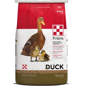 Purina 19% Protein Pellets Duck Feed, 40-lb bag