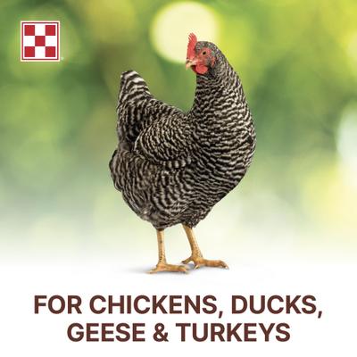 Show full view: Purina Organic Scratch Grains Poultry Feed, 35-lb bag slide 4 of 9