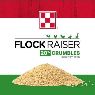 Show full view: Purina Flock Raiser 20% Protein Crumbles Poultry Feed, 5-lb bag slide 3 of 10