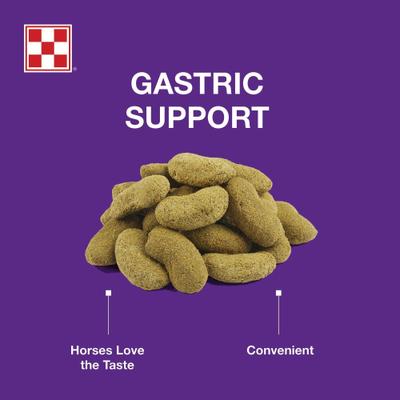 Show full view: Purina Outlast Horse Treats, 3.5-lb bag slide 3 of 5