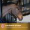 Show in main carousel: Purina Ultium Senior Horse Feed, 50-lb bag slide 6 of 10