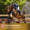 Show in main carousel: Purina Ultium Senior Horse Feed, 50-lb bag slide 7 of 10