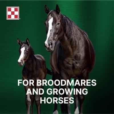 Show full view: Purina Ultium Growth Horse Feed, 50-lb bag slide 5 of 7