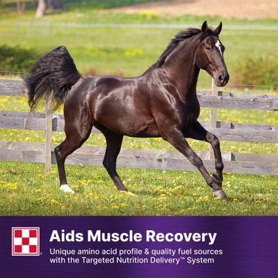 Show full view: Purina Ultium Gastric Care Performance Horse Feed, 50-lb bag slide 9 of 10