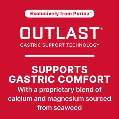 Show full view: Purina Ultium Gastric Care Performance Horse Feed, 50-lb bag slide 6 of 10