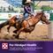 Show in main carousel: Purina Ultium Gastric Care Performance Horse Feed, 50-lb bag slide 7 of 10