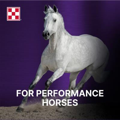 Show full view: Purina Ultium Gastric Care Performance Horse Feed, 50-lb bag slide 5 of 10
