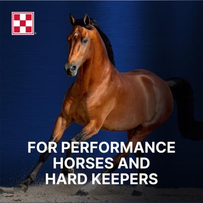 Show full view: Purina Ultium Competition Horse Feed, 50-lb bag slide 5 of 10