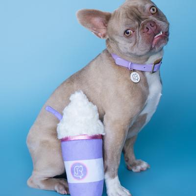 Show full view: Bundle x Joy Puppuccino Pup Cup Squeaky Crinkle Plush Dog Toy, Purple, Medium slide 4 of 6