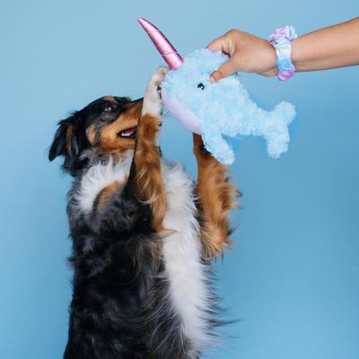 Show full view: Bundle x Joy Dreamy Narwhal Squeaky Crinkle Plush Dog Toy, Blue, Medium slide 3 of 5