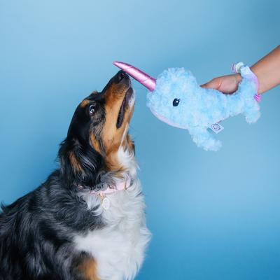 Show full view: Bundle x Joy Dreamy Narwhal Squeaky Crinkle Plush Dog Toy, Blue, Medium slide 4 of 5