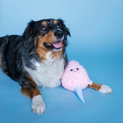 Show full view: Bundle x Joy Cotton Candy Swirl Squeaky Crinkle Plush Dog Toy, Pink, Medium slide 3 of 5