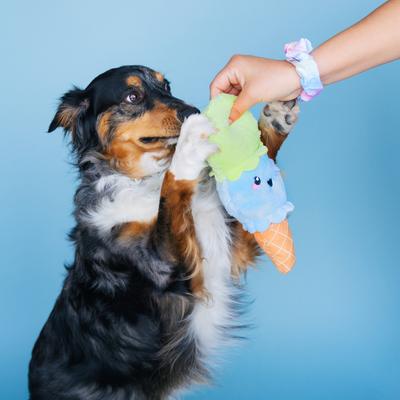 Show full view: Bundle x Joy Ice Cream Cone Delight Squeaky Crinkle Plush Dog Toy, Blue & Green, Medium slide 5 of 6
