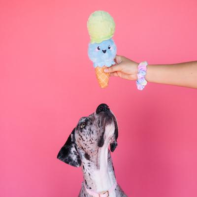 Show full view: Bundle x Joy Ice Cream Cone Delight Squeaky Crinkle Plush Dog Toy, Blue & Green, Medium slide 4 of 6
