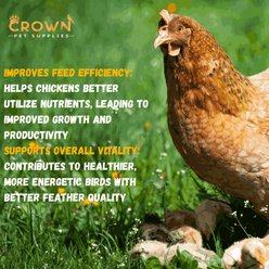 Crown Pet Supplies Probiotics Over 10 Billions Beneficial Bacteria Powder Chicken Supplement, 3.53-oz jar slide 2 of 7