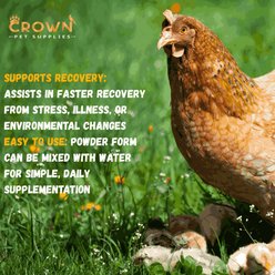 Crown Pet Supplies Complete Daily Vitamins Powder Chicken Supplement, 3.53-oz jar slide 2 of 8
